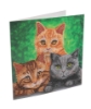 Picture of Cats Portrait 18x18cm Crystal Art Card