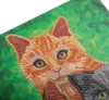 Picture of Cats Portrait 18x18cm Crystal Art Card