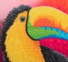 Picture of Toucan 18x18cm Crystal Art Card