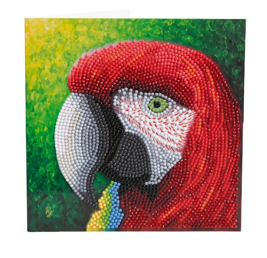 Picture of Parrot 18x18cm Crystal Art Card