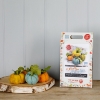 Picture of Woolly Pumpkins Needle Felting Kit