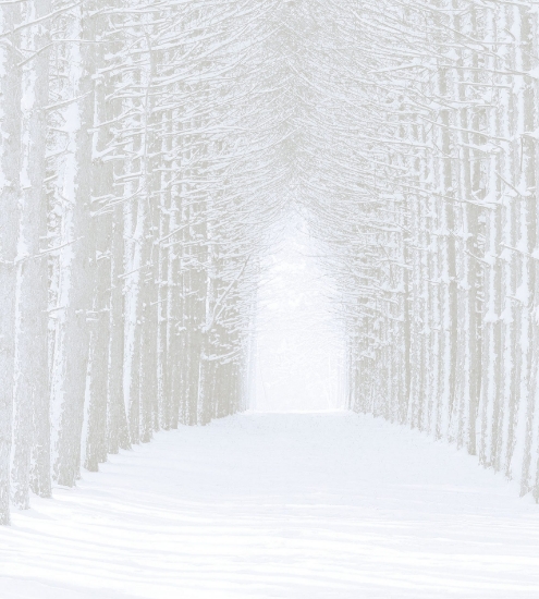 Picture of Fabric Flair Scenery Winter Forest 32 Count Cotton Evenweave Fat Quarter measuring 45cm x 50cm (18 x 19 Inches)