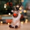 Picture of Christmas Reindeer Needle Felting Kit