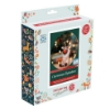 Picture of Christmas Reindeer Needle Felting Kit
