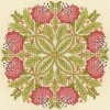 Picture of Celtic Poppies Cross Stitch Kit By Bothy Threads