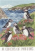 Picture of A Circus Of Puffins Cross Stitch Kit By Bothy Threads