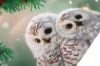 Picture of Snowy Owls Sanctuary - Crystal Art 40x50cm Scroll Kit
