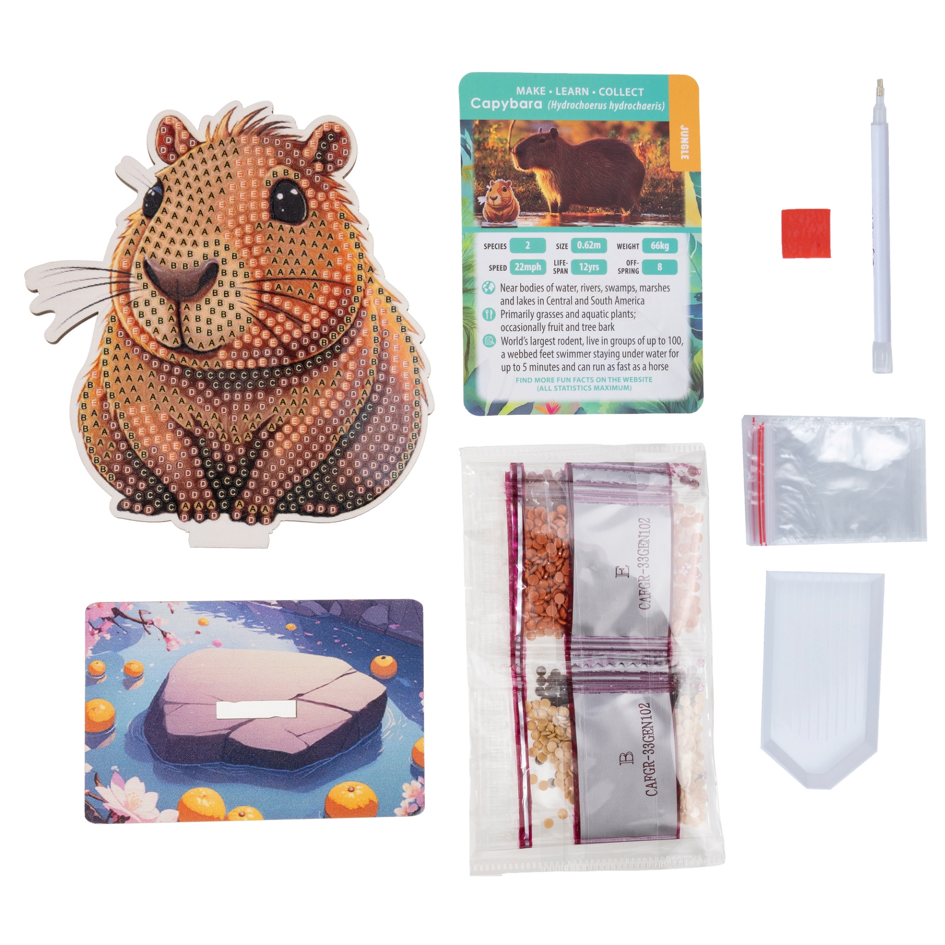 Capybara - Wildlife Crystal Art Buddy Kit | Stitchtastic