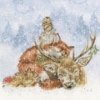 Picture of Comfort And Joy (Hannah Dale) Cross Stitch Kit By Bothy Threads