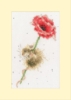 Picture of Poppy Dormouse Greetings Card Cross Stitch Kit by Bothy Threads