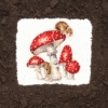 Picture of =#REF!& " (Hannah Dale) Cross Stitch Kit By Bothy Threads"
