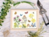 Picture of Wildflower Memories (Hannah Dale) Cross Stitch Kit By Bothy Threads