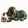 Picture of Growing Old Together Dogs (Hannah Dale) Cross Stitch Kit By Bothy Threads