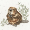 Picture of The Arborist (Hannah Dale) Cross Stitch Kit By Bothy Threads