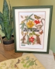 Picture of Magic Of Mother Nature Cross Stitch Kit By Bothy Threads