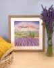 Picture of Lavender Fields (Lucy Pittaway) Cross Stitch Kit By Bothy Threads